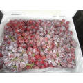 Economic crop fresh red grape